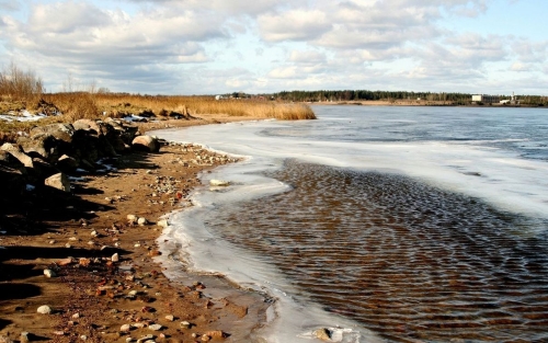krajobraz
